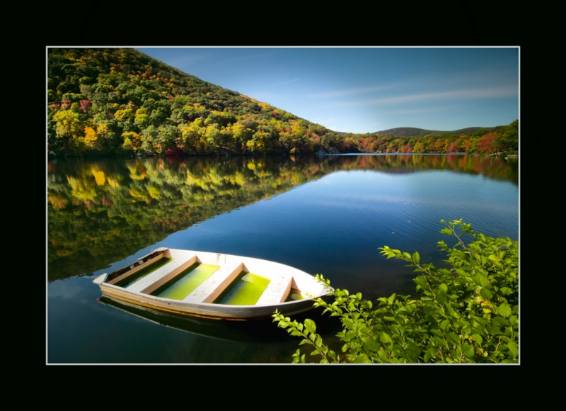Boat and foliage